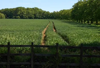 Tramline through a tree lined field.jpg
